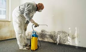 Best Mold Removal for HVAC Installations  in Monticello, UT