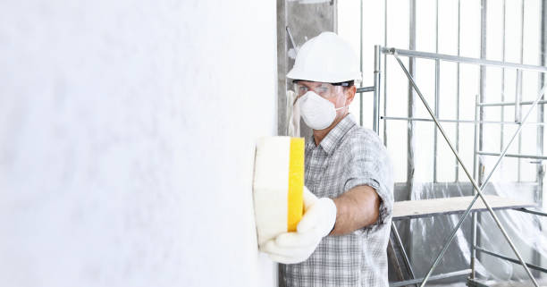 Best Mold Odor Removal Services  in Monticello, UT